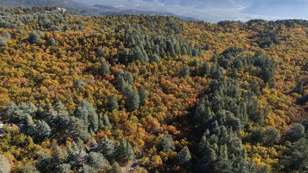 Gezegende Sadece Isparta'da Var 2